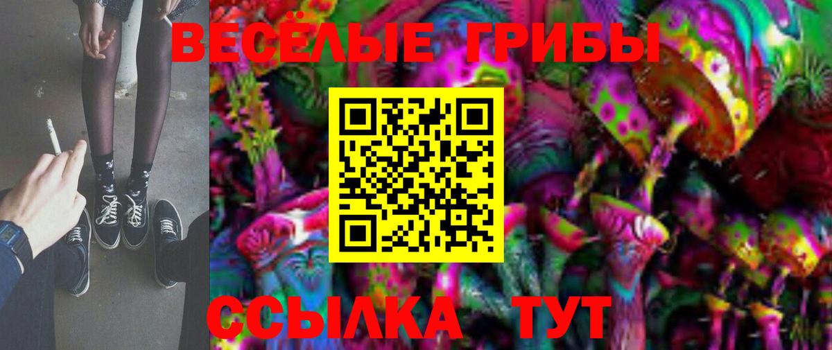 Таганрог  Псилоцибиновые грибы Cubensis  где можно купить наркотик  Вход с VPN 