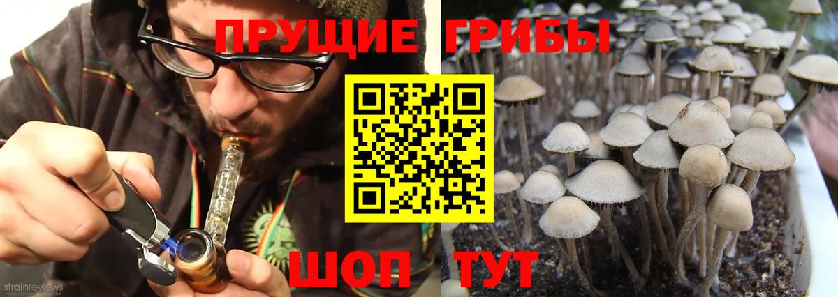 Псилоцибиновые грибы прущие грибы Таганрог